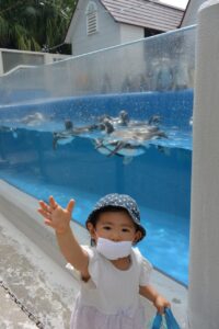 夏休み何をした？　大人気の矯正半額week